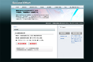 総合調査　セカンド・エフォートのHP